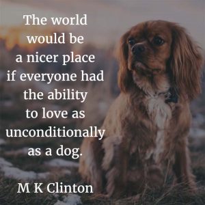 The Love of a Dog – My Incredible Website